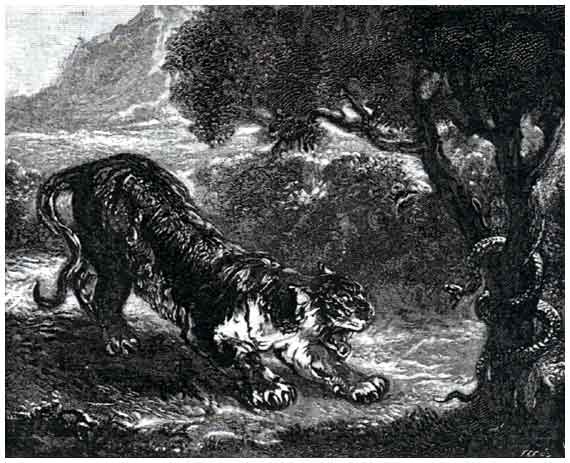 Tiger and Serpent by Ferdinand-Victor-Eugene Delacroix.